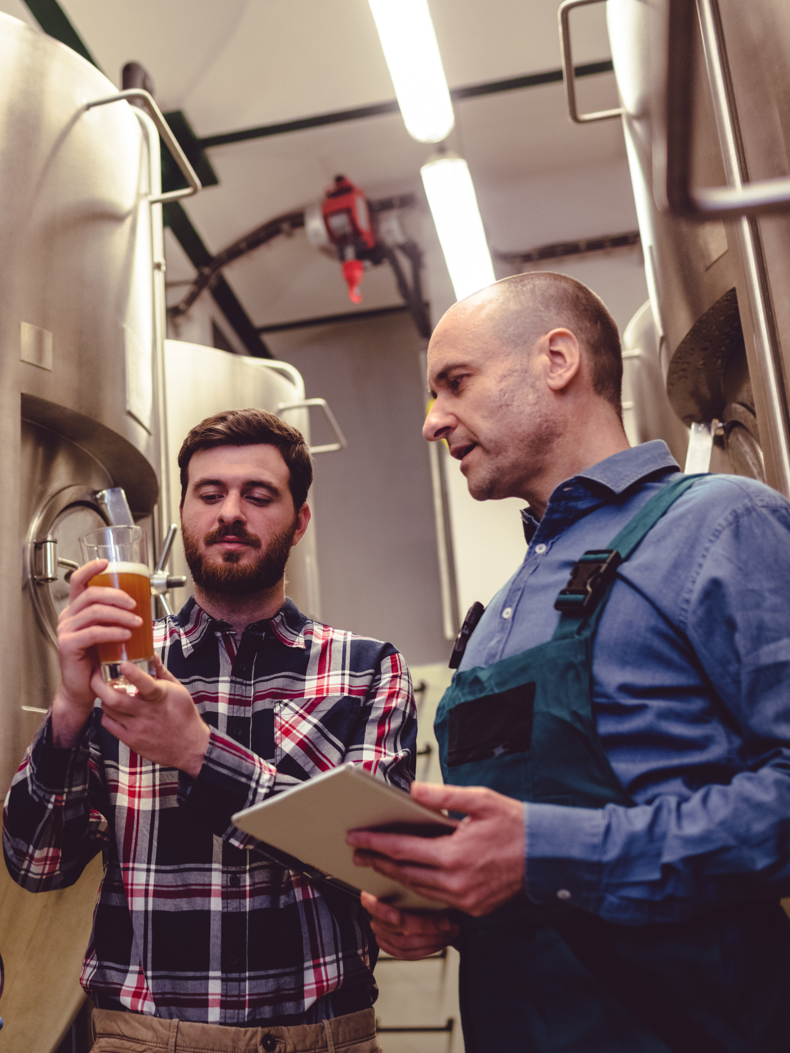 formation sur site Brew factory