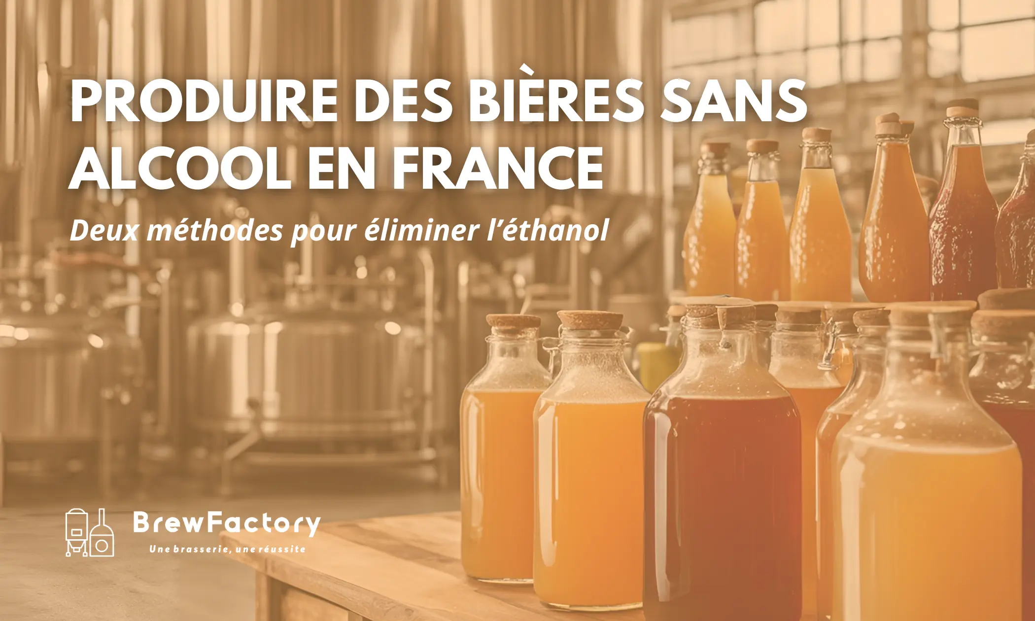 Désalcoolisateur brassicole BrewFactory