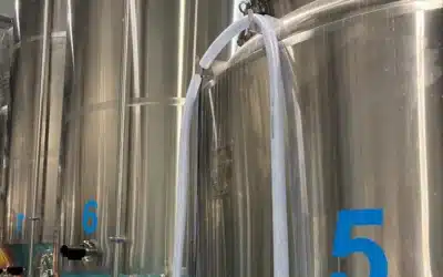 Fermenteur 5hL vs 10hL : comment choisir selon votre production ?