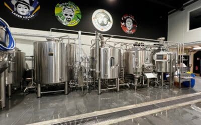 Brewpub vs microbrasserie : quel modèle économique choisir en 2026