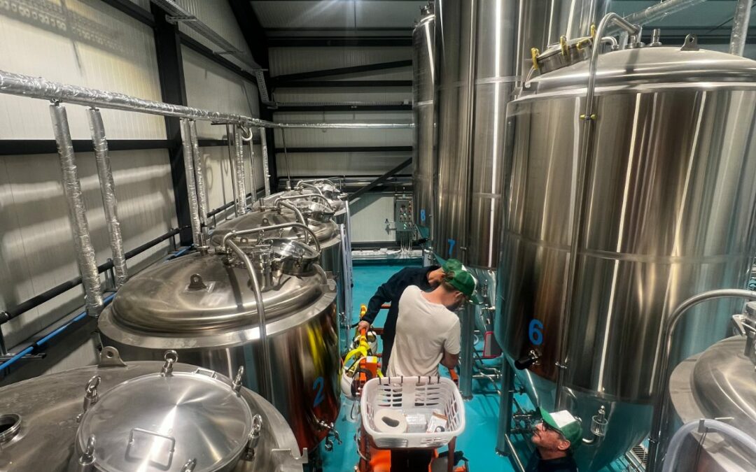 Fermenteurs inox BrewFactory en cave de fermentation — brasserie Chillossa, Arudy