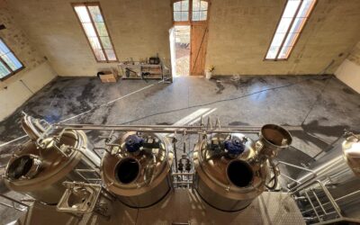 Salle de brassage 2, 3 ou 4 cuves : quelle configuration choisir ?